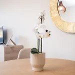 Panoramic View Cozy 1br * Φιλιππούπολη