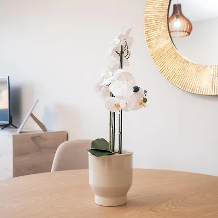 Panoramic View Cozy 1br * Plowdiw